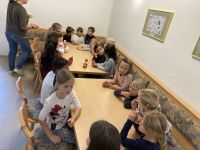 Img 4550