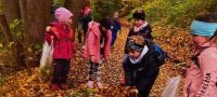 Wandertag