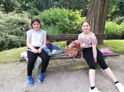 Img 20240620 093821