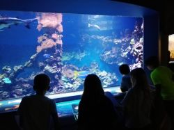 Img 20240620 113456