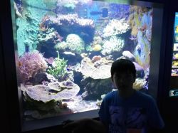 Img 20240620 113706