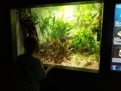 Img 20240620 114116