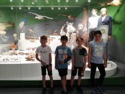Img 20240620 120224