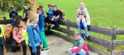 Img 20240703 111902