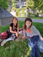 Img 20240514 Wa0028