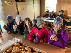 Img 20250509 Wa0018