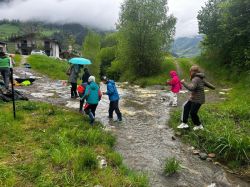 Img 20250509 Wa0043