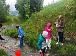 Img 20250509 Wa0044