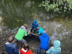 Img 20250509 Wa0090