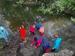 Img 20250509 Wa0091