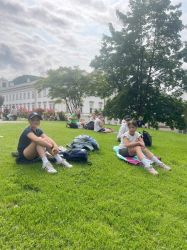 Img 7981