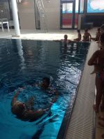 Img 4519
