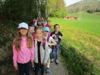 Img 3541