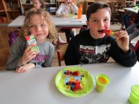 Img 3054