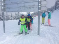 Img 4711