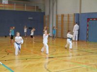 Img 4460